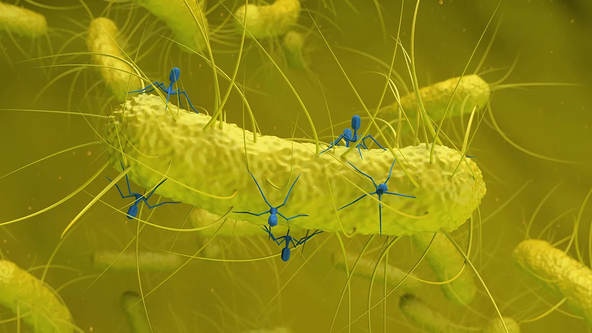 Neues Virus entdeckt: Verbindung zwischen Darmbakterien und Darmkrebs